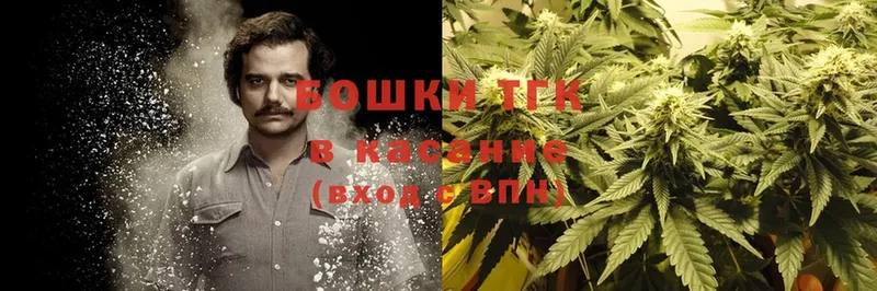 Конопля SATIVA & INDICA  дарнет шоп  Княгинино 